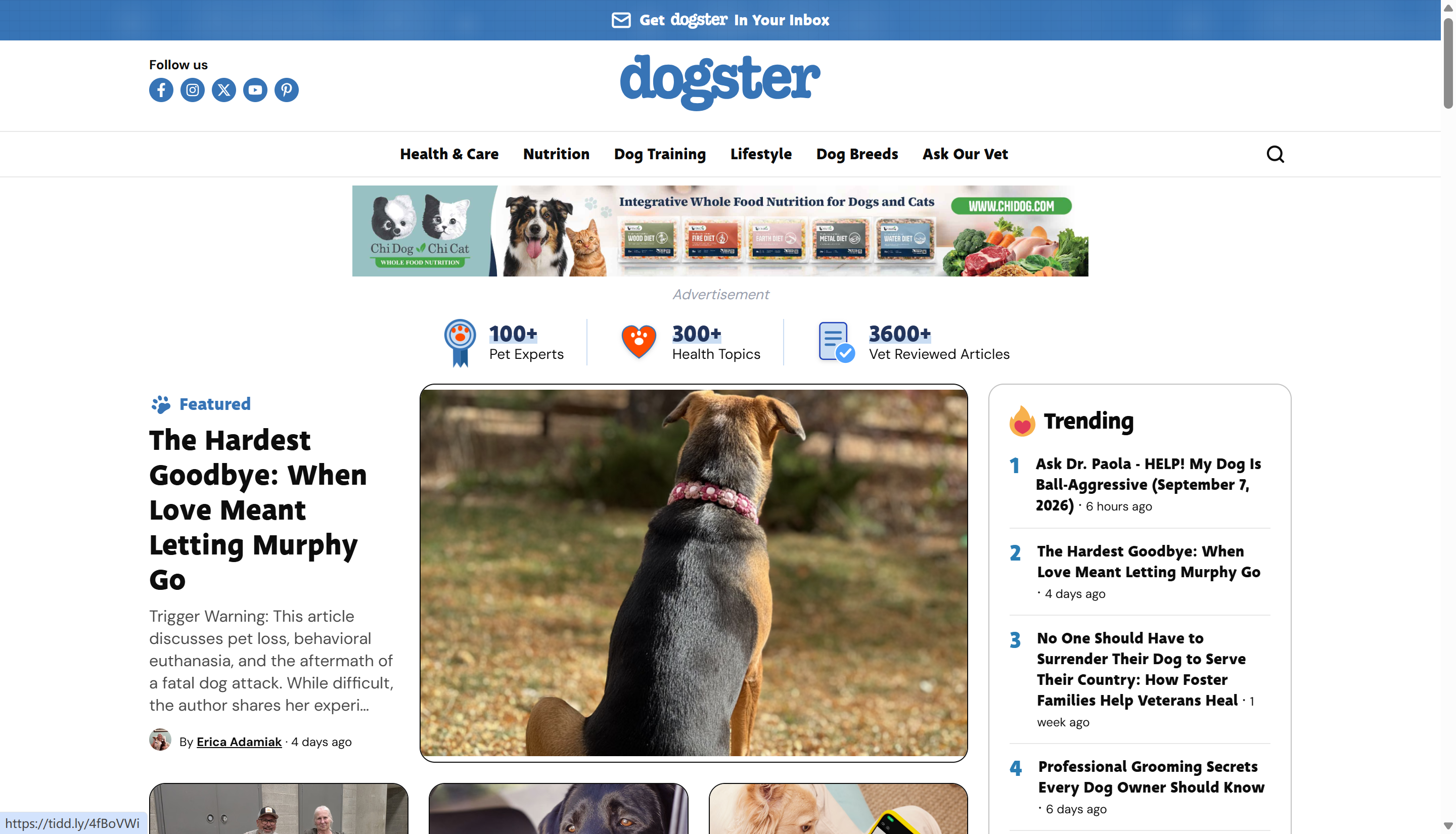 Dogster—One of the best blog website examples