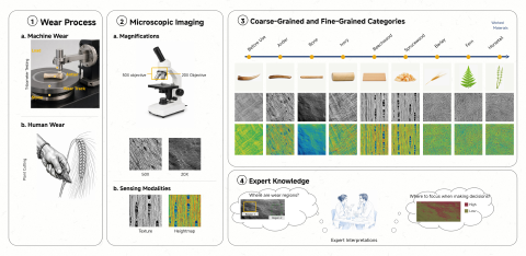 Figura científica de imágenes de microscopía