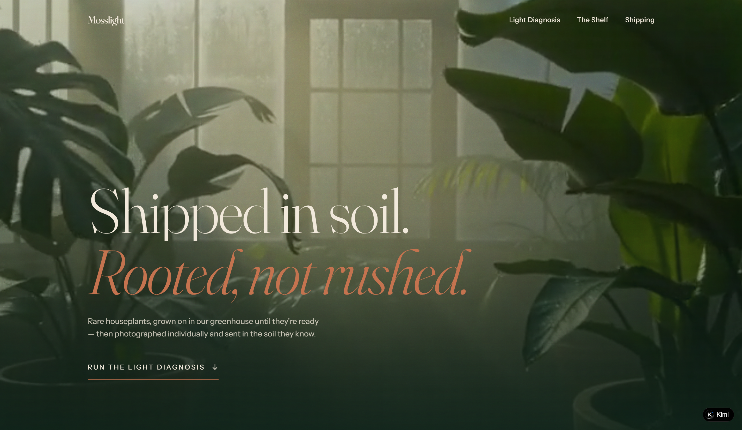Rare houseplant store for e-commerce website project ideas