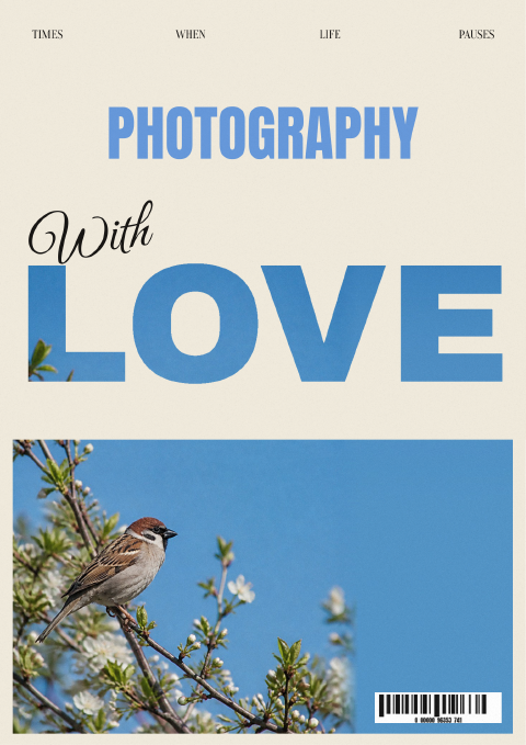 Cartel Amor por la fotografía