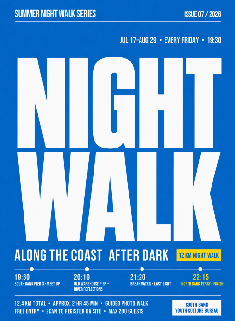 Cartel Paseo nocturno
