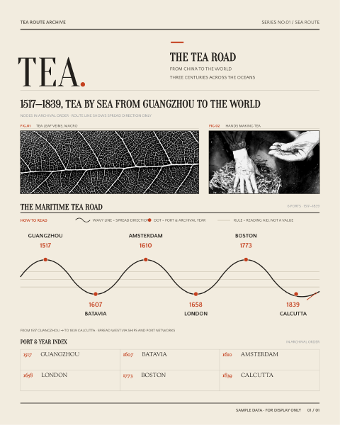 Infografía sobre el TÉ