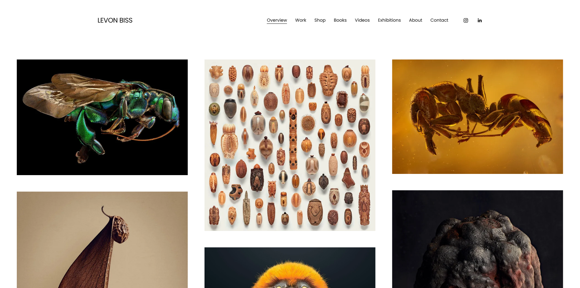 Levon Biss's editorial photography portfolio gallery